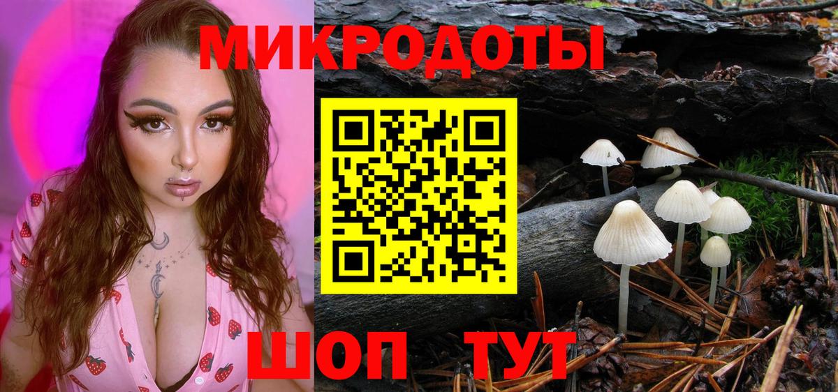 Псилоцибиновые грибы Psilocybine cubensis Елабуга